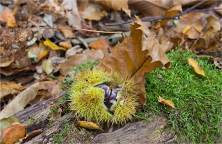 ddos在线攻击工具